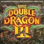 Double Dragon III: The Sacred Stones icon