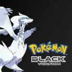 Pokémon Black Version icon